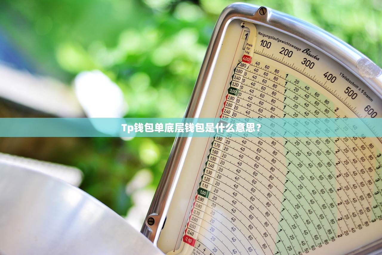 Tp钱包单底层钱包是什么意思？
