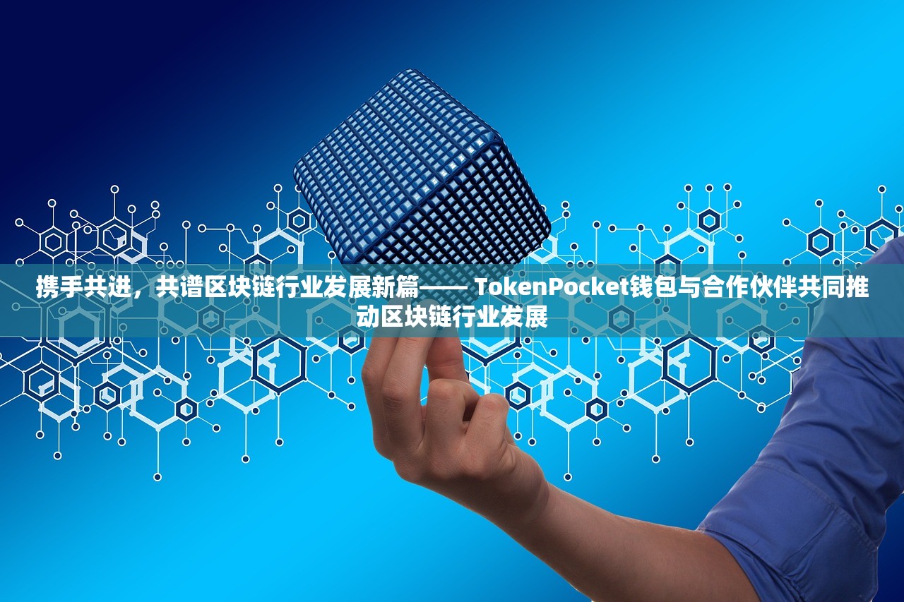 携手共进，共谱区块链行业发展新篇—— TokenPocket钱包与合作伙伴共同推动区块链行业发展