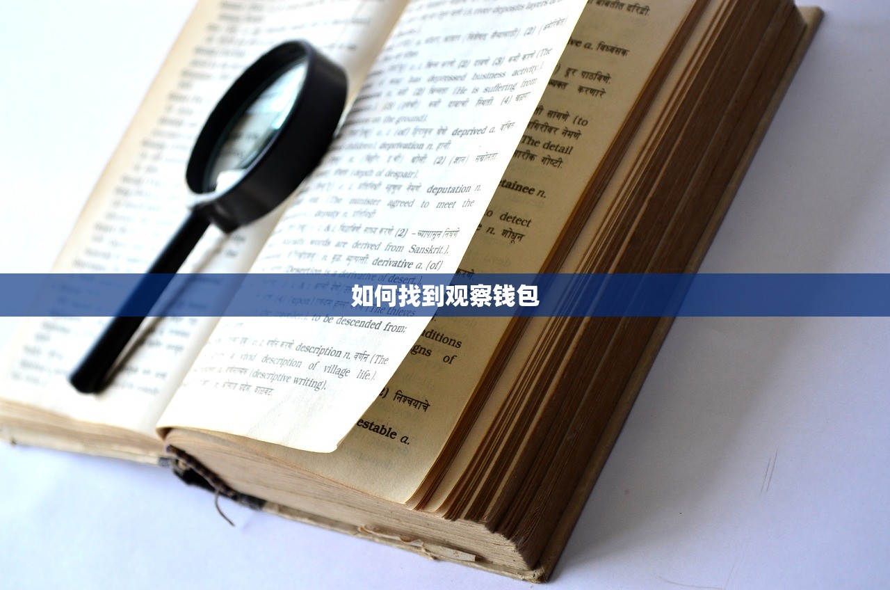 如何找到观察钱包
