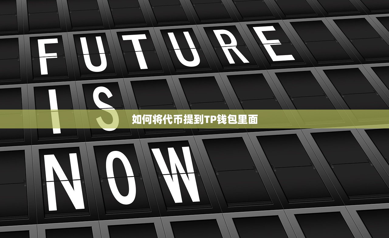如何将代币提到TP钱包里面