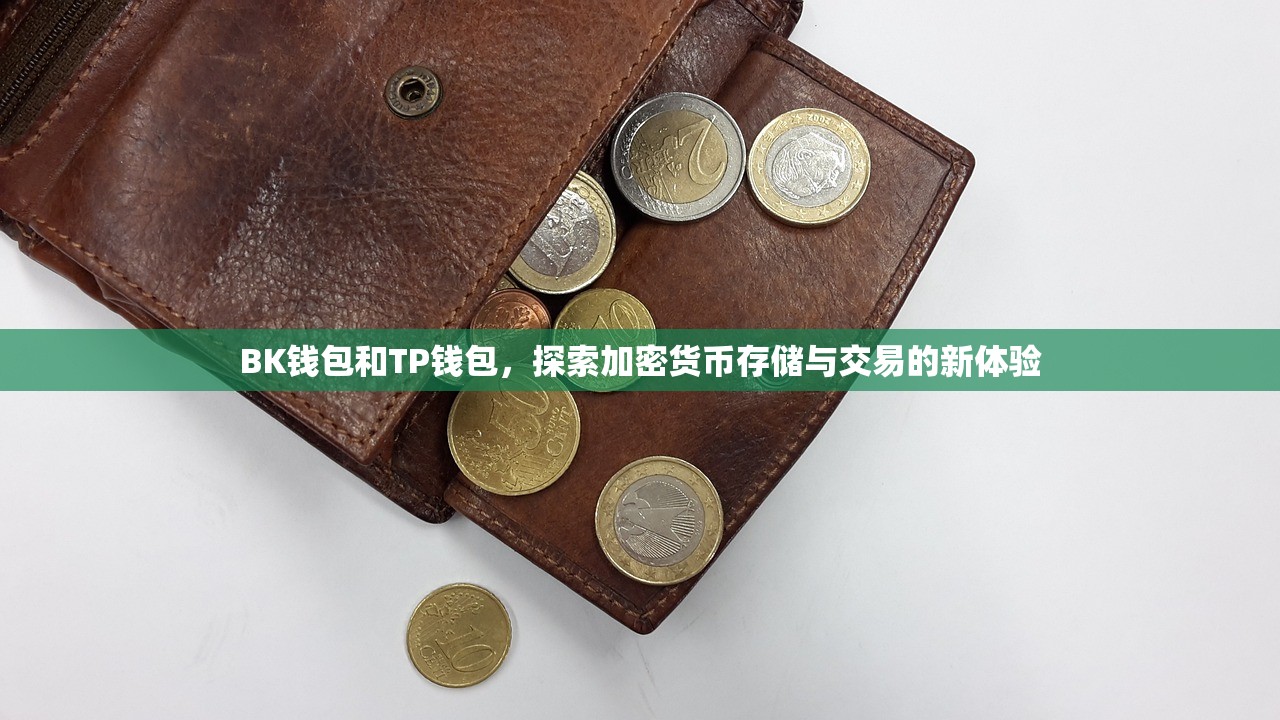 BK钱包和TP钱包，探索加密货币存储与交易的新体验