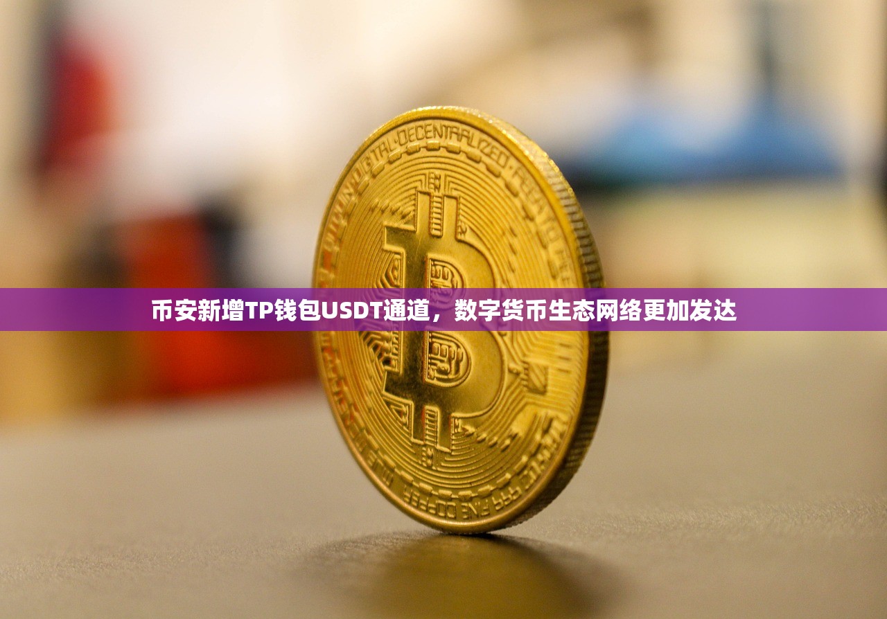 币安新增TP钱包USDT通道，数字货币生态网络更加发达