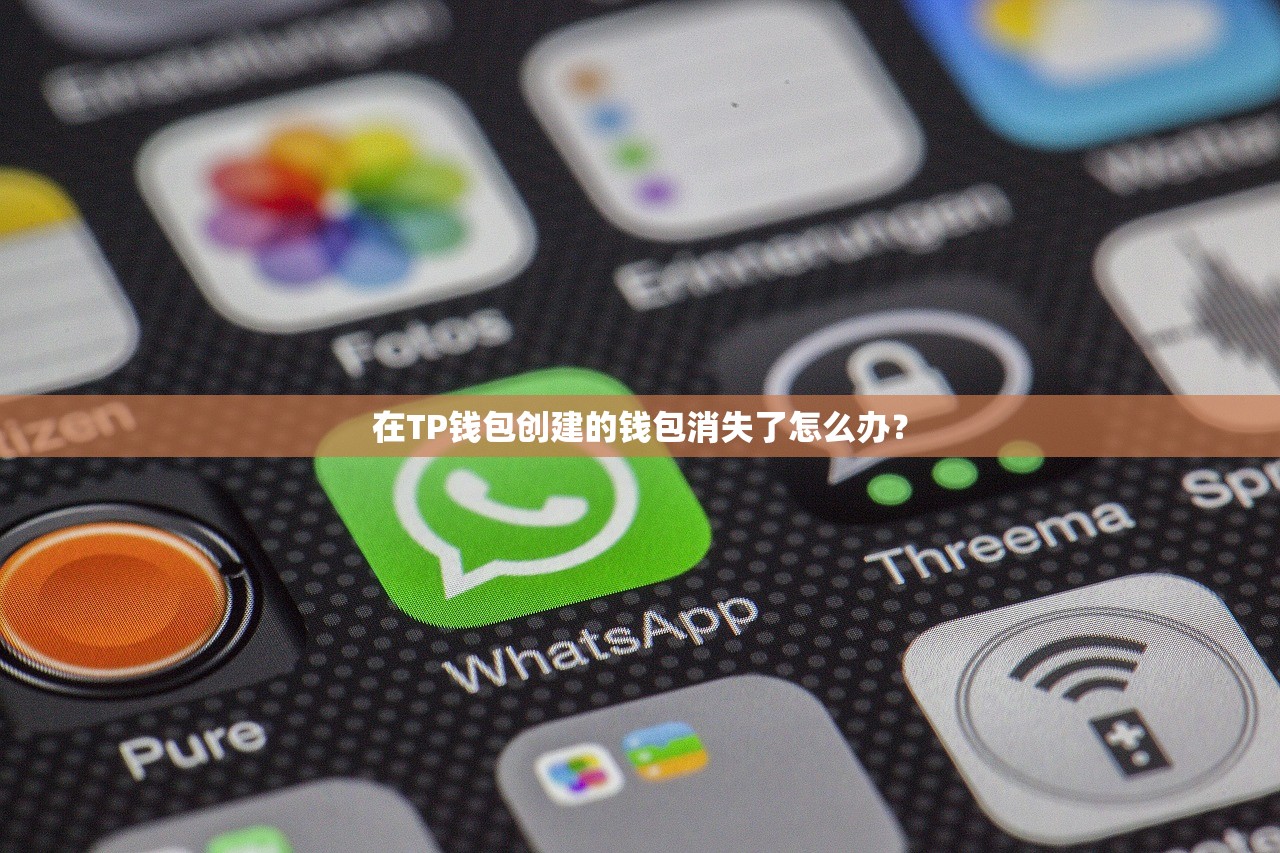 在TP钱包创建的钱包消失了怎么办？