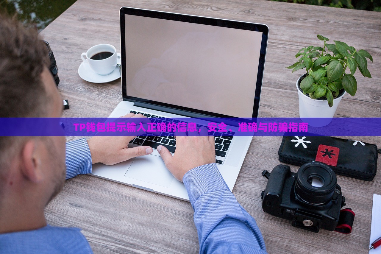 TP钱包提示输入正确的信息，安全、准确与防骗指南